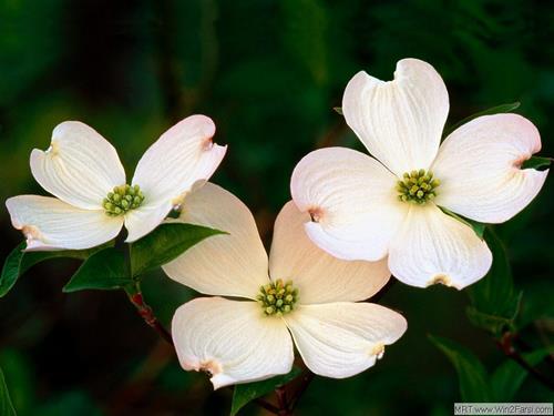 mahtab&nbsp;derakhshan